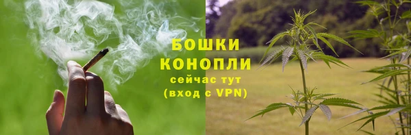 ALPHA PVP Заволжье