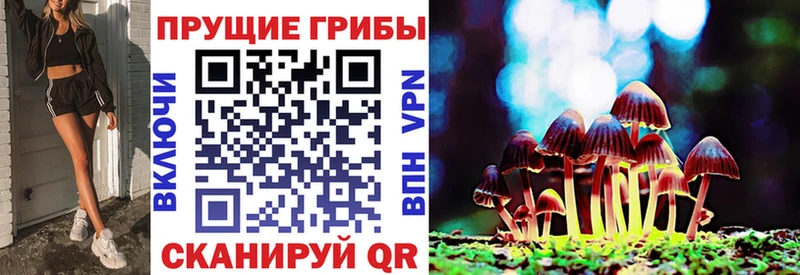 Галлюциногенные грибы Cubensis  Себеж 